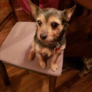 Meet your Posher, Katylynann